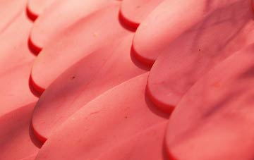 Braefindon plastic roof costs